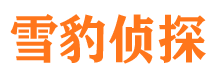 镇海市婚外情调查